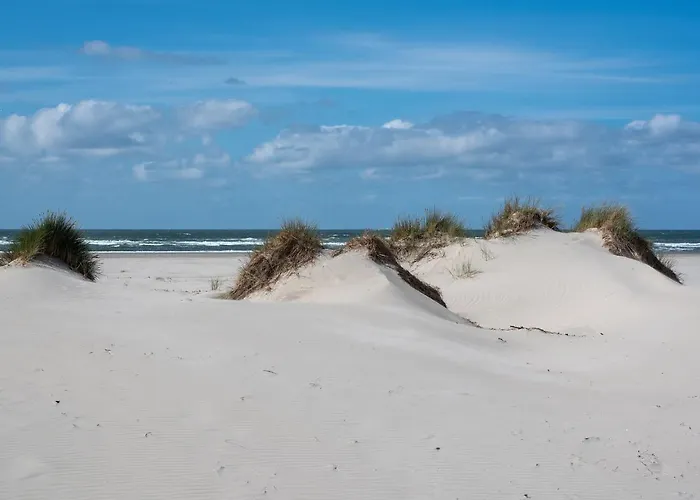 Sandkorn 1